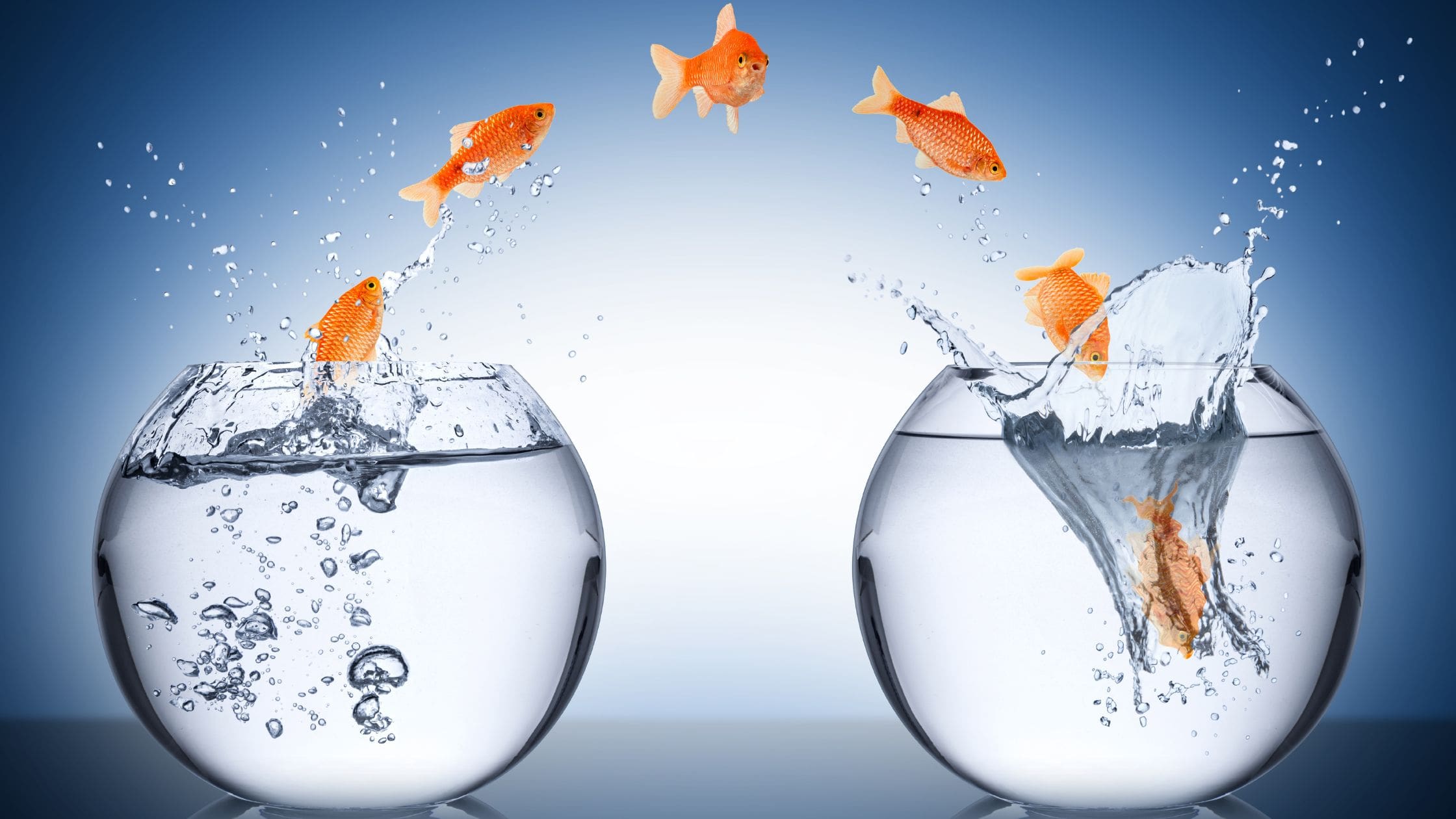 Change Management: The Engine of Organizational Transformation in Today’s Business Environment